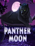 เล่น score ball8888k ฝาก ถอน วิธีง่ายๆ สำหรับมือใหม่